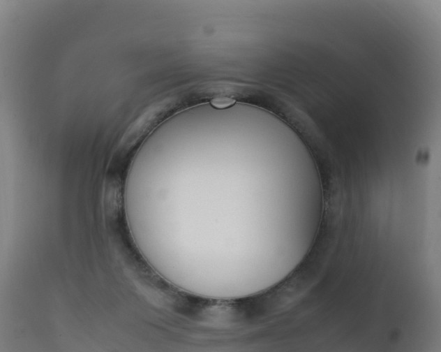 X0000112410119200908281823