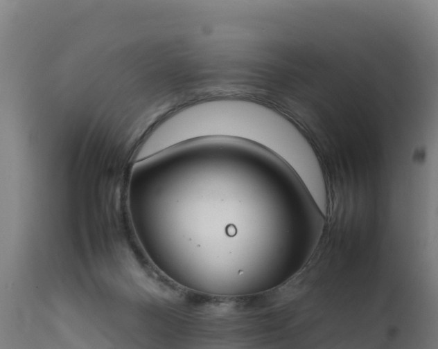 X0000112410120200908281823