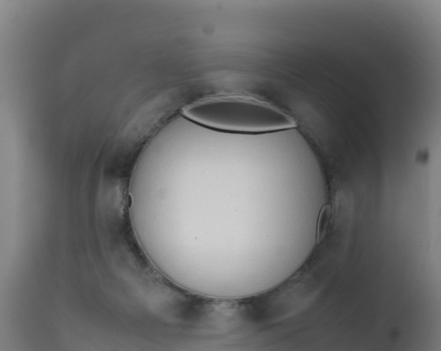 X0000112410121200908281823