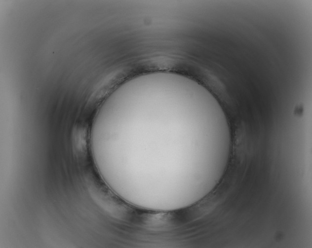 X0000112410122200908281823