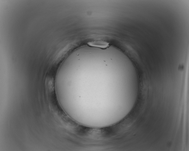 X0000112410123200908281823