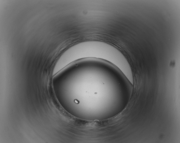 X0000112410124200908281823