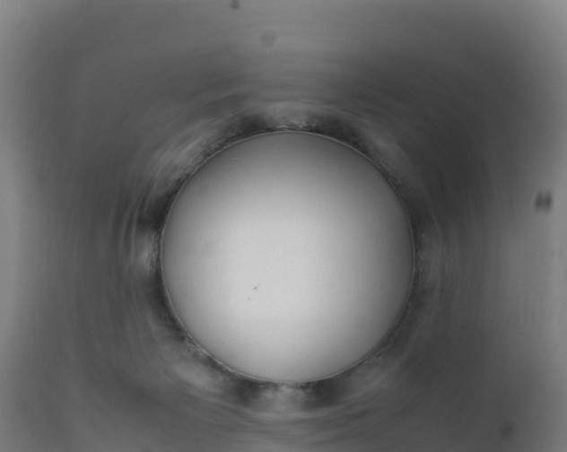 X0000112410125200908281823