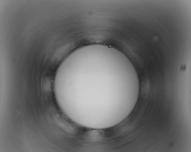 X0000112410126200908281823