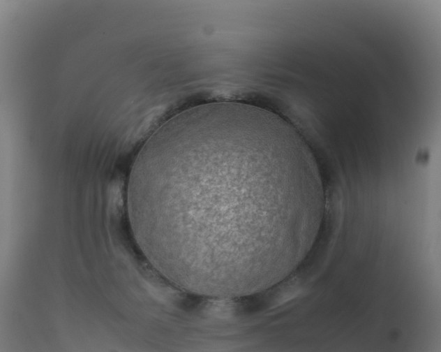 X0000112410127200908281823