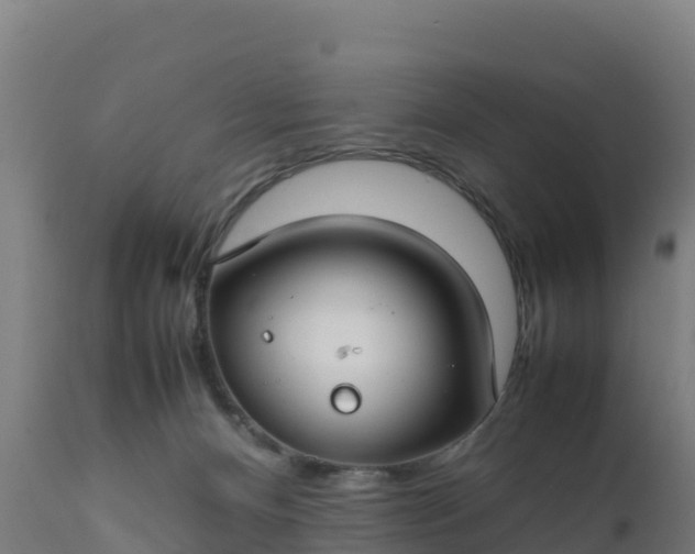 X0000112410128200908281823