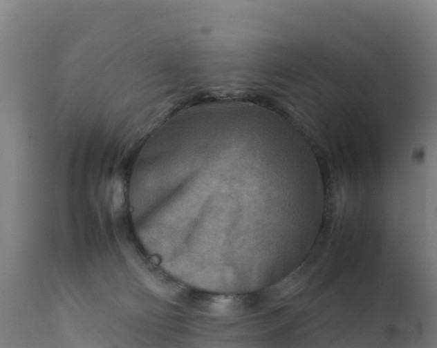 X0000112410130200908281823