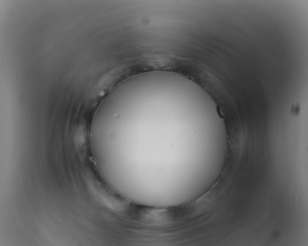 X0000112410132200908281823