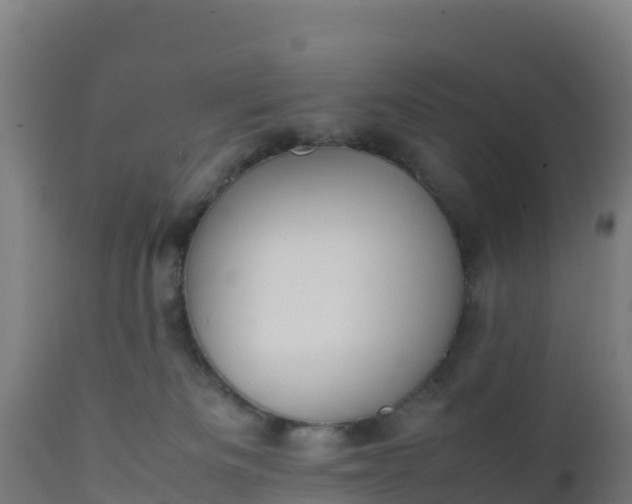 X0000112410133200908281823