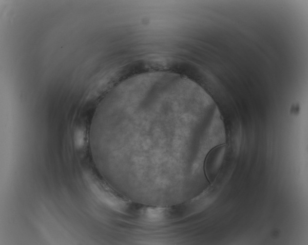 X0000112410134200908281823