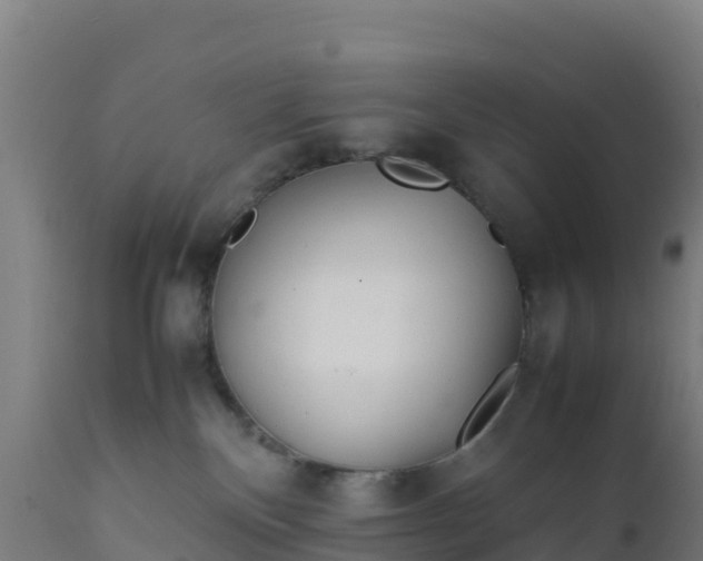 X0000112410136200908281823