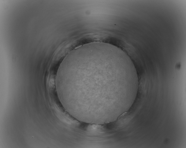 X0000112410137200908281823