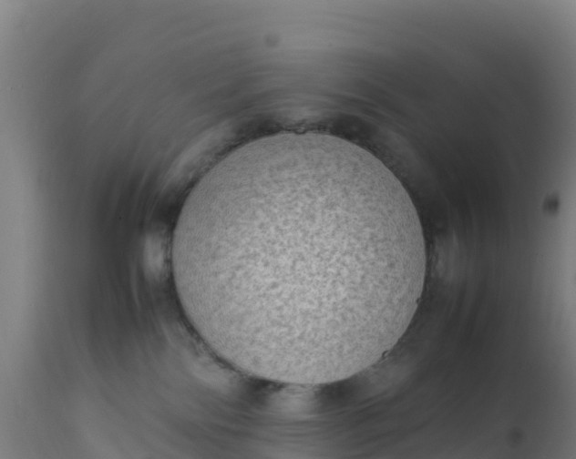 X0000112410138200908281823