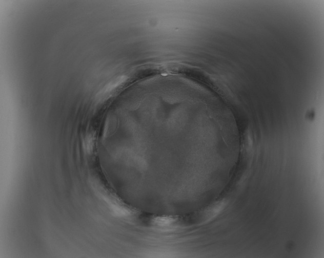 X0000112410139200908281823