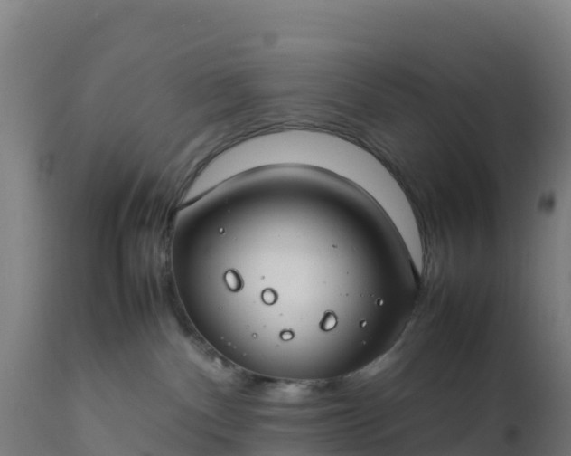 X0000112410140200908281823