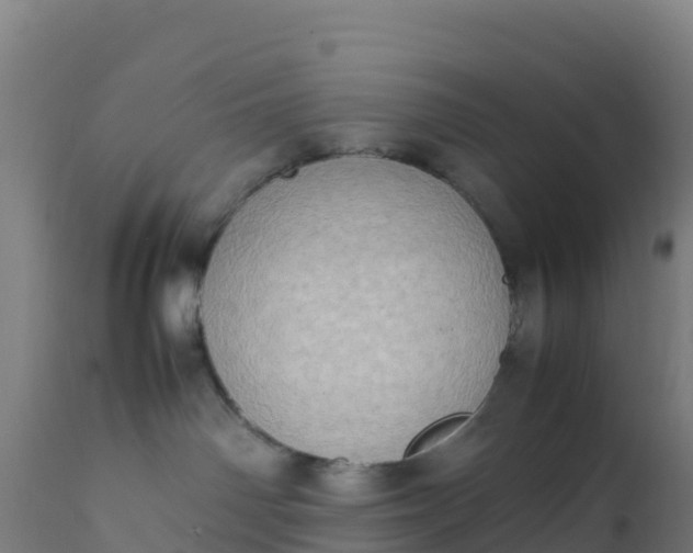 X0000112410142200908281823