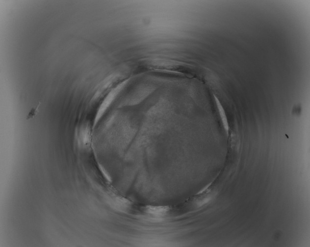 X0000112410143200908281823