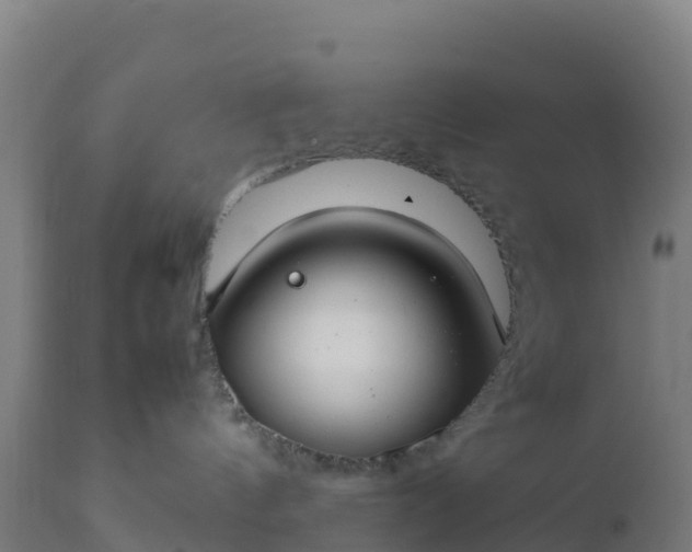 X0000112410144200908281823