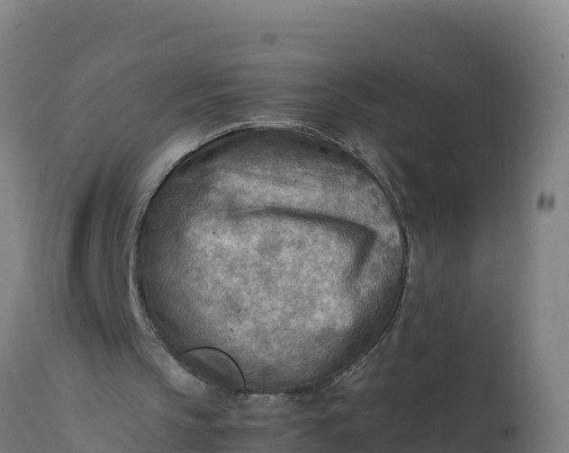 X0000112410145200908281822