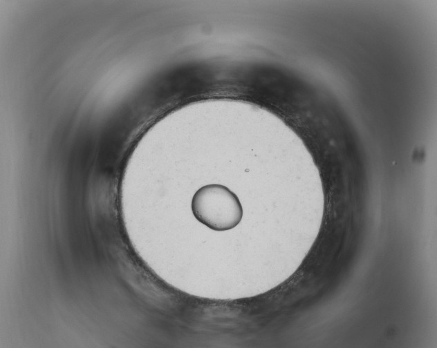 X0000112410146200908281822