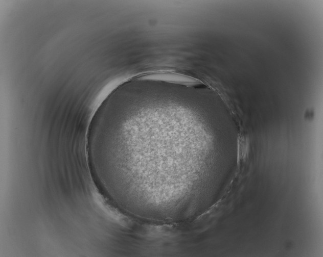 X0000112410147200908281822