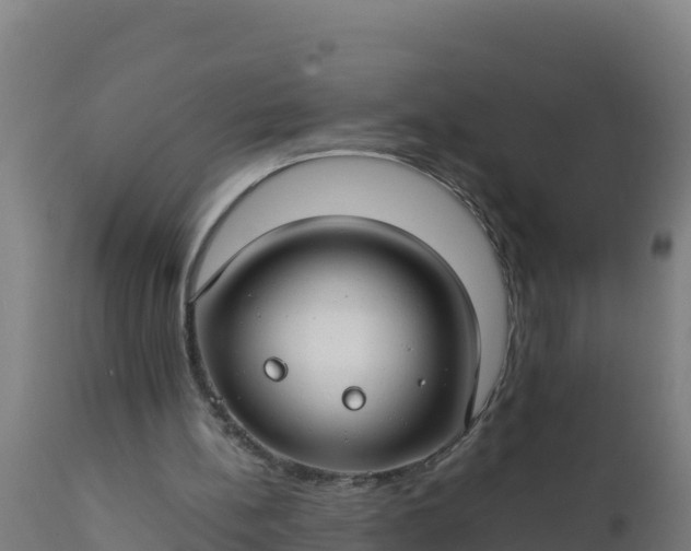 X0000112410148200908281822