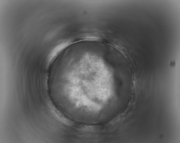 X0000112410149200908281822