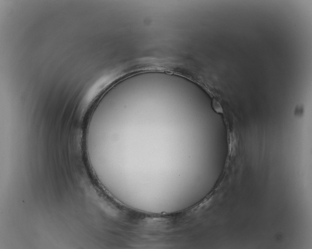 X0000112410150200908281822