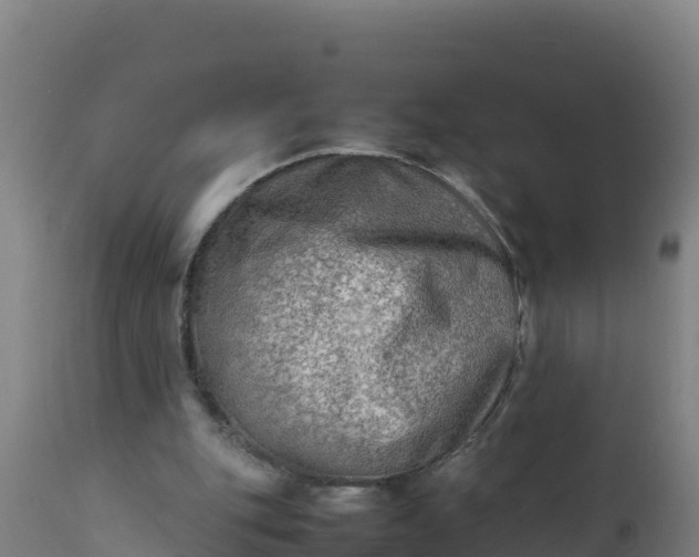 X0000112410151200908281822