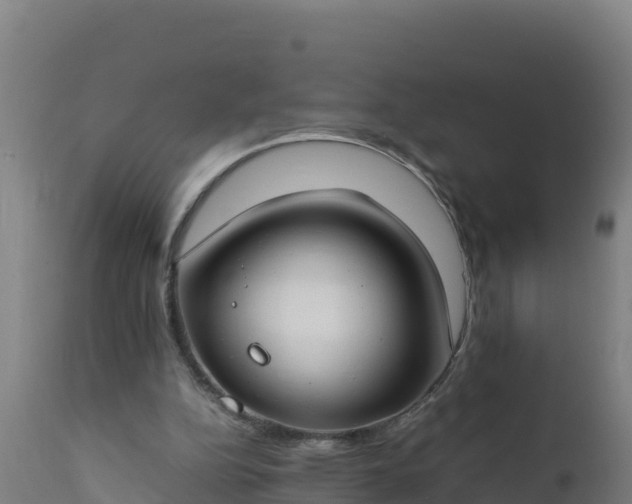 X0000112410152200908281822