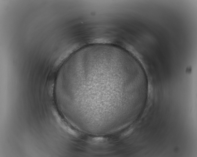 X0000112410153200908281822