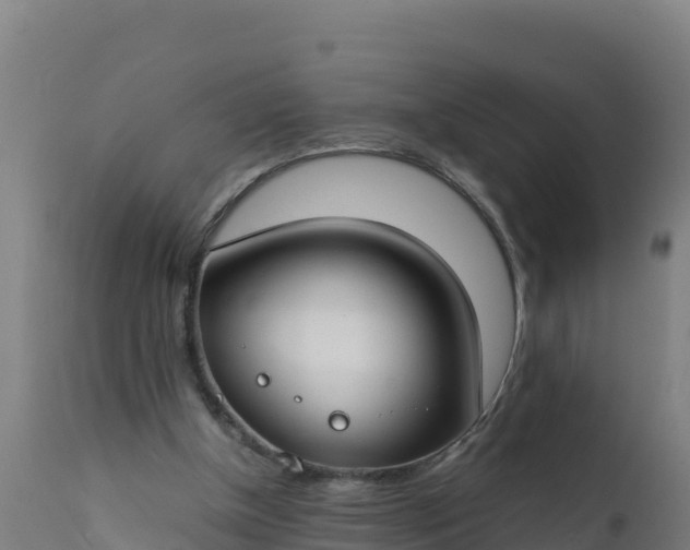 X0000112410154200908281822