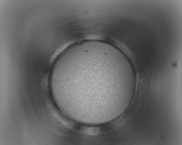 X0000112410155200908281822