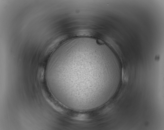 X0000112410157200908281822