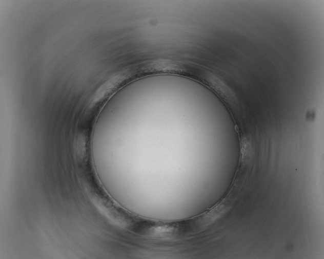 X0000112410158200908281822