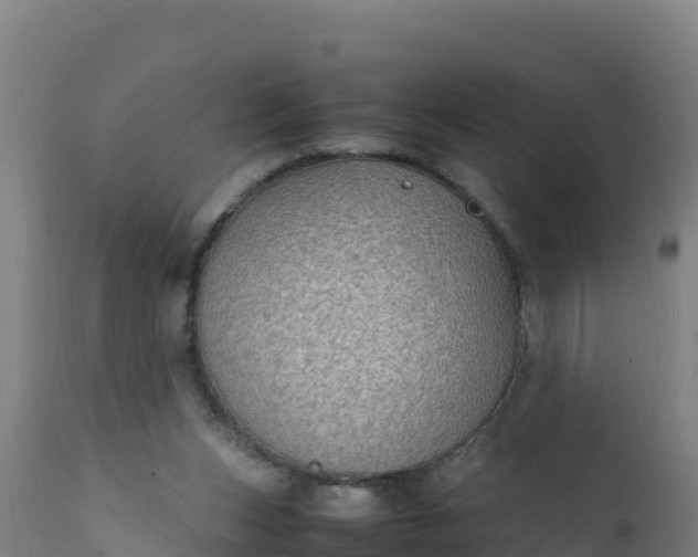 X0000112410159200908281823