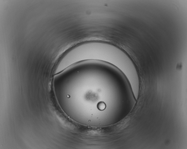 X0000112410160200908281823