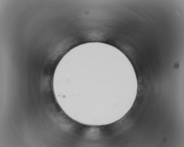 X0000112410162200908281823