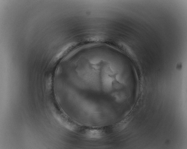 X0000112410163200908281823