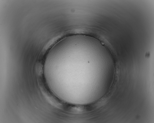 X0000112410164200908281823