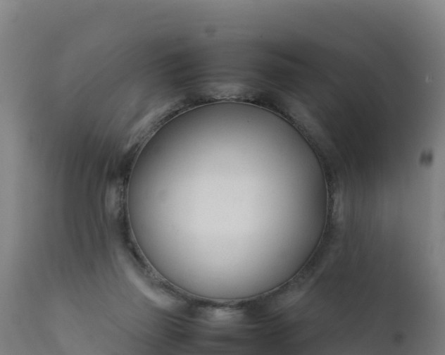 X0000112410165200908281823