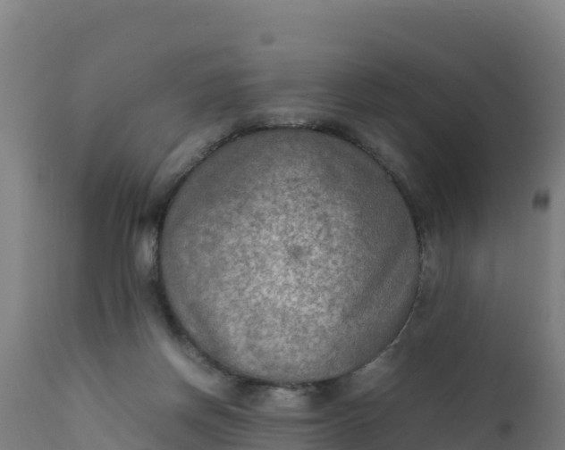 X0000112410166200908281823