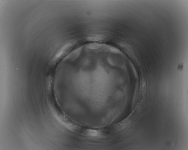 X0000112410167200908281823