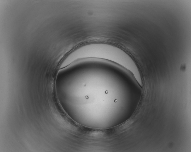 X0000112410168200908281823