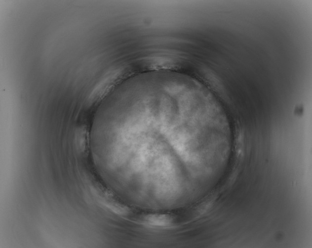 X0000112410169200908281823