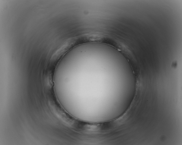 X0000112410170200908281823