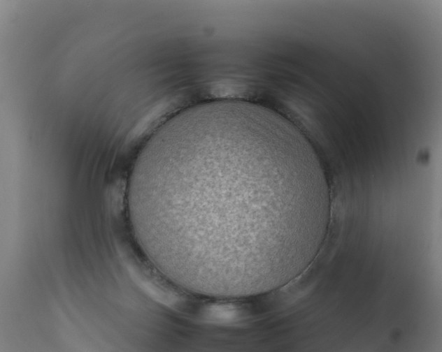 X0000112410171200908281823