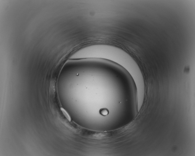 X0000112410172200908281823