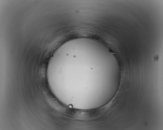 X0000112410174200908281823