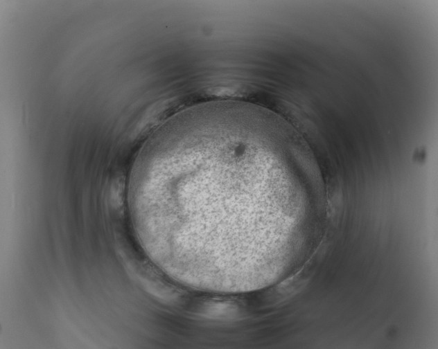 X0000112410175200908281823